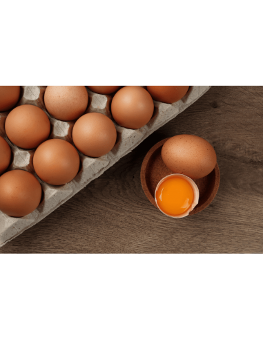 Oeufs plein air gros 180  ufs