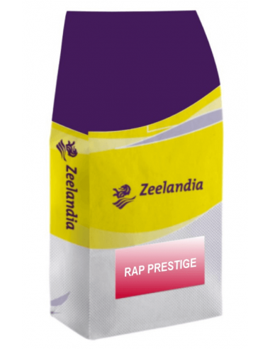 Rap prestige à froid Zeelandia 10 kg