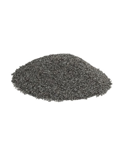 Graines de pavot bleu Pajo x 1 kg